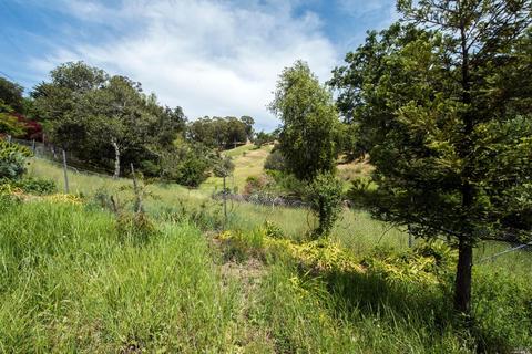 35 Willow Ave, Larkspur, CA 94939 photo 43