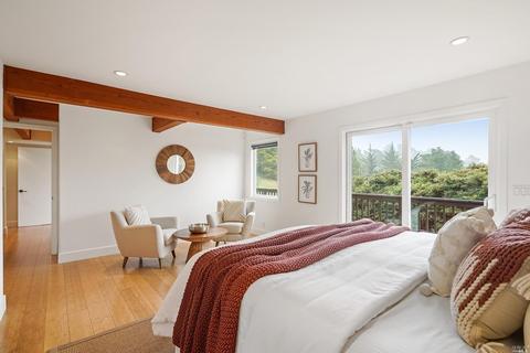 134 Peralta Ave, Mill Valley, CA 94941 photo 38
