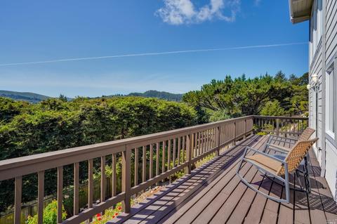 134 Peralta Ave, Mill Valley, CA 94941 photo 52
