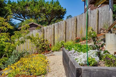 134 Peralta Ave, Mill Valley, CA 94941 photo 67