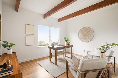 134 Peralta Ave, Mill Valley, CA 94941 photo 24