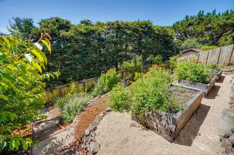 134 Peralta Ave, Mill Valley, CA 94941 photo 65