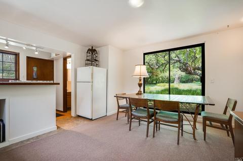 21 Barranca Rd, Lagunitas, CA 94938 photo 37