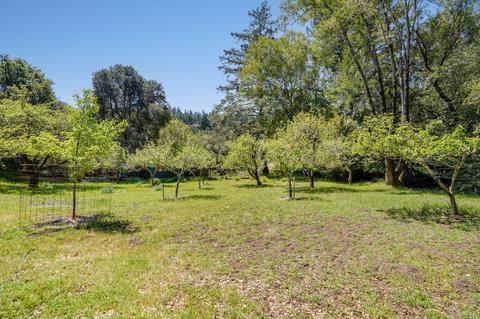 21 Barranca Rd, Lagunitas, CA 94938 photo 45