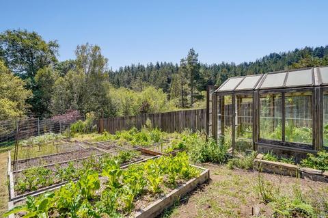 21 Barranca Rd, Lagunitas, CA 94938 photo 28