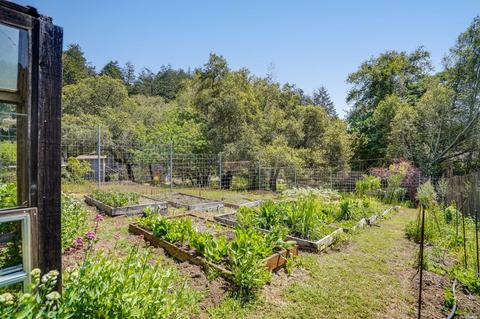 21 Barranca Rd, Lagunitas, CA 94938 photo 30