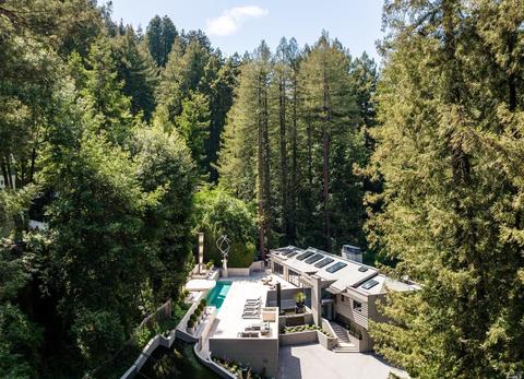 11 Ethel Ct, Mill Valley, CA 94941 photo 19
