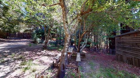 43495 Brushy Ridge Loop, Annapolis, CA 95412 photo 37