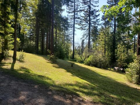 43495 Brushy Ridge Loop, Annapolis, CA 95412 photo 43