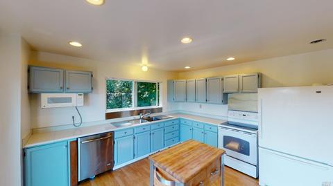 43495 Brushy Ridge Loop, Annapolis, CA 95412 photo 21