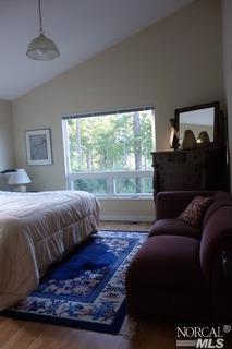 43495 Brushy Ridge Loop, Annapolis, CA 95412 photo 30