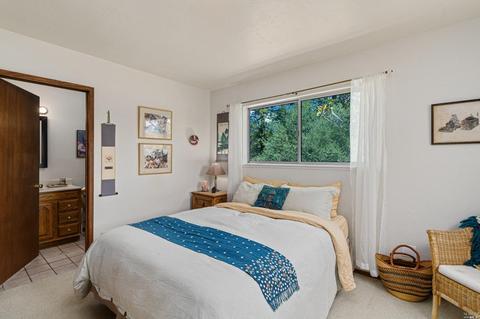 6364 Starr Rd, Windsor, CA 95492 photo 23