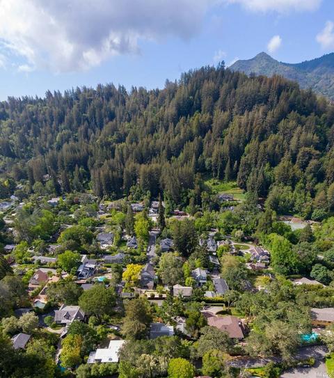 28 Walnut Ave, Ross, CA 94957 photo 36