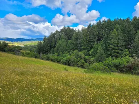 1181 Buckhorn Rd, Willits, CA 95490 photo 4