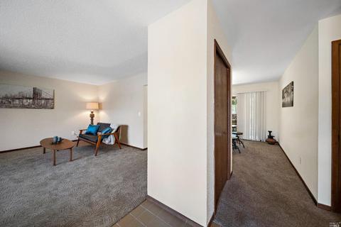 131 Vineyard Cir, Sonoma, CA 95476 photo 25