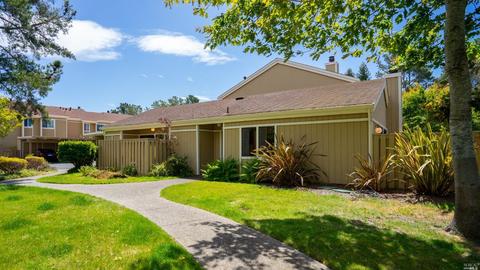 10 Coleridge Dr, Mill Valley, CA 94941 photo 37