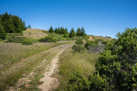 5757 Lucas Valley Rd, Nicasio, CA 94946 photo 51