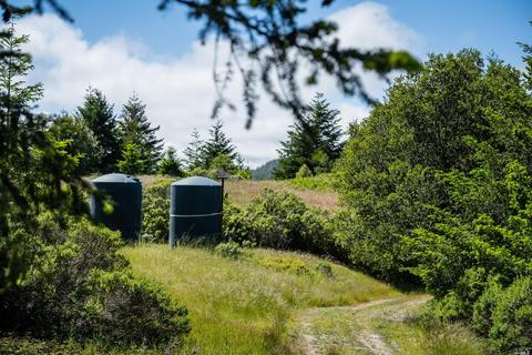 5757 Lucas Valley Rd, Nicasio, CA 94946 photo 53