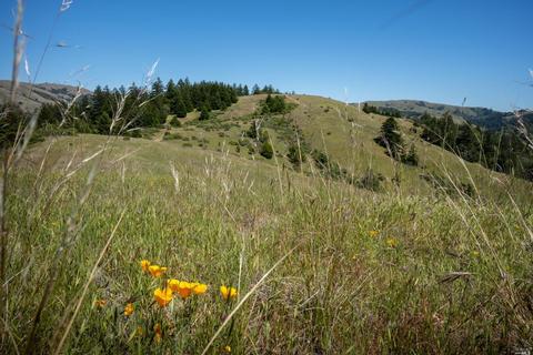 5757 Lucas Valley Rd, Nicasio, CA 94946 photo 48
