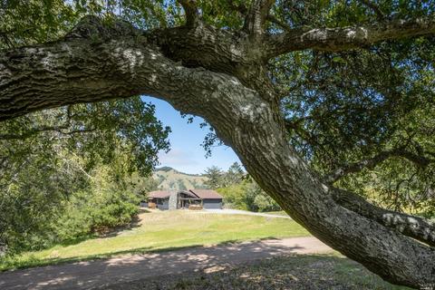 5757 Lucas Valley Rd, Nicasio, CA 94946 photo 34