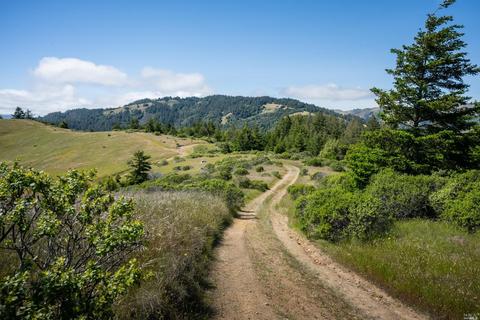 5757 Lucas Valley Rd, Nicasio, CA 94946 photo 50