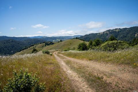 5757 Lucas Valley Rd, Nicasio, CA 94946 photo 49