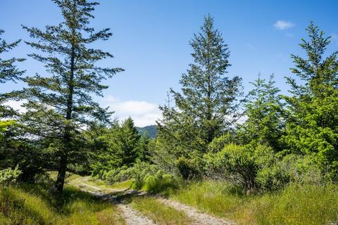 5757 Lucas Valley Rd, Nicasio, CA 94946 photo 52