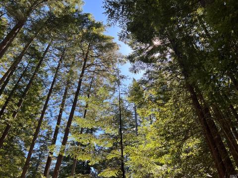 35041 Woodside Ct, Gualala, CA 95445