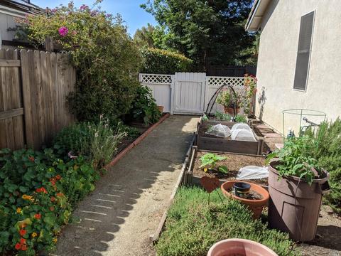 354 Glen Eagle Ct, Vacaville, CA 95688 photo 13