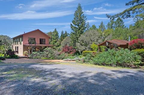 17450 Taylor Ln, Occidental, CA 95465 photo 74