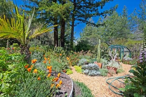 17450 Taylor Ln, Occidental, CA 95465 photo 11