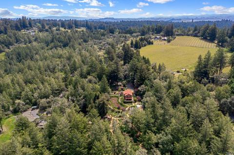 17450 Taylor Ln, Occidental, CA 95465 photo 75