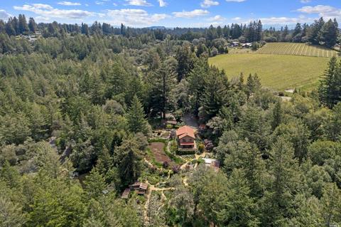 17450 Taylor Ln, Occidental, CA 95465 photo 73
