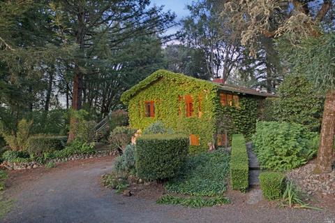 17450 Taylor Ln, Occidental, CA 95465 photo 15