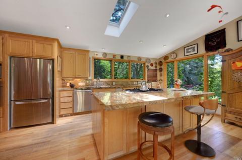 17450 Taylor Ln, Occidental, CA 95465 photo 51