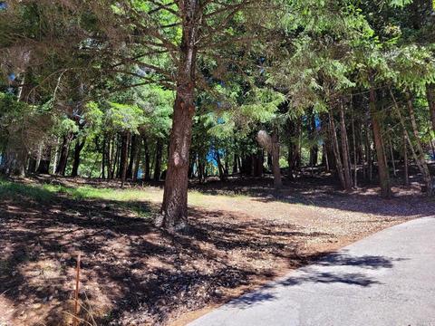 27421 Ridge Rd, Willits, CA 95490 photo 6