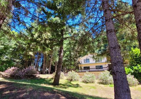 27421 Ridge Rd, Willits, CA 95490 photo 40