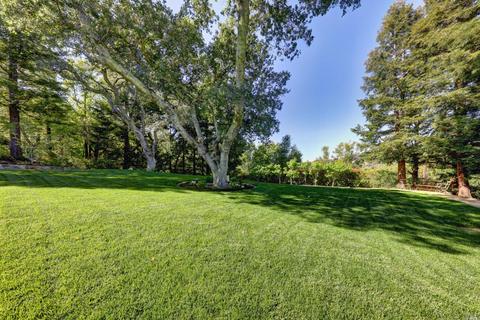 41 Upper Rd, Ross, CA 94957 photo 89