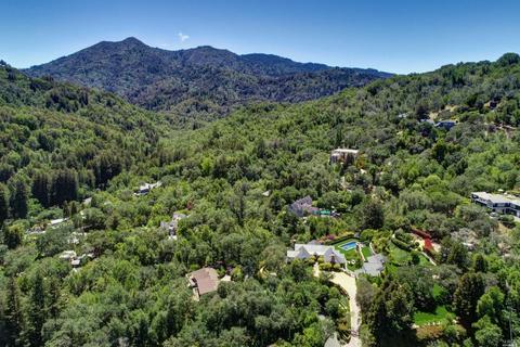 41 Upper Rd, Ross, CA 94957 photo 98