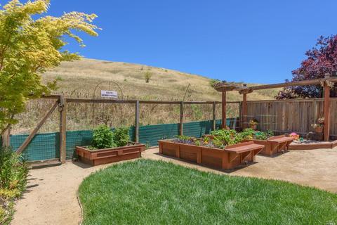 254 Windsor Dr, Petaluma, CA 94952 photo 14