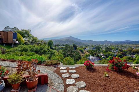 1 Balclutha Dr, Corte Madera, CA 94925 photo 42