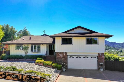1 Balclutha Dr, Corte Madera, CA 94925 photo 59