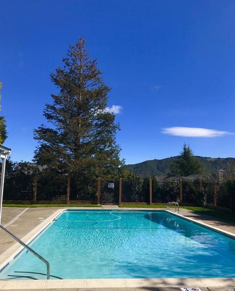36 Pine Tree Ct, San Rafael, CA 94903 photo 30