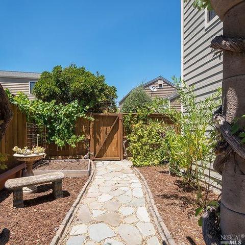 36 Pine Tree Ct, San Rafael, CA 94903 photo 29