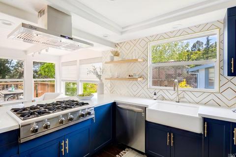 217 Beryl St, Mill Valley, CA 94941 photo 14