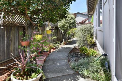 1166 Pedroncelli Dr, Windsor, CA 95492 photo 7