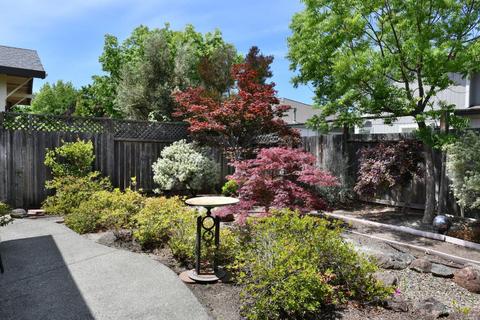 1166 Pedroncelli Dr, Windsor, CA 95492 photo 6