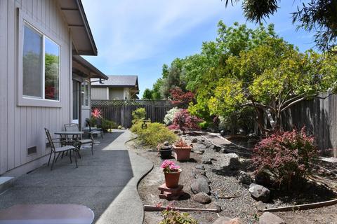 1166 Pedroncelli Dr, Windsor, CA 95492 photo 5