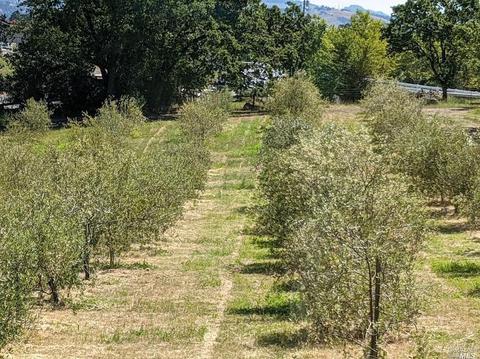3855 River Rd, Windsor, CA 95492 photo 8