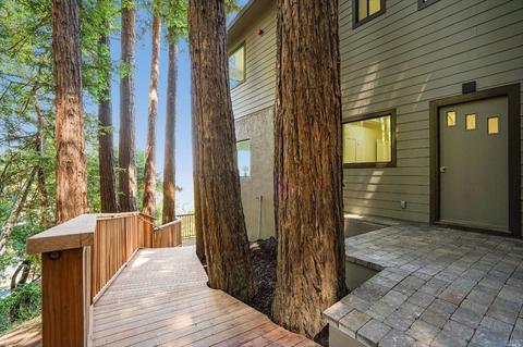 60 Hazel Ave, Larkspur, CA 94939 photo 58